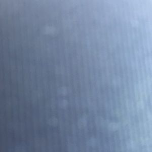 Meet your Posher, Latonya